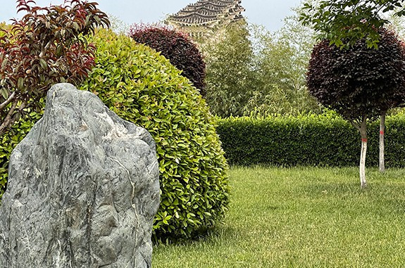 西安霸陵墓園秀香園屬于老園還是新園