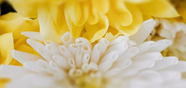 西安霸陵墓園新區位于哪里,其地理環境有何特色?