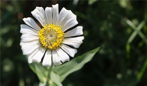 西安漢陵園墓價格