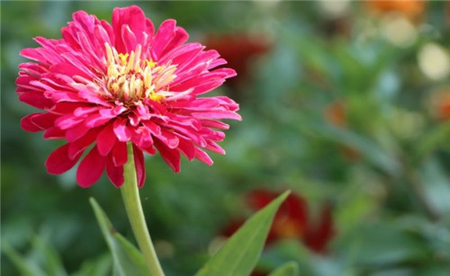 西安有多少公墓