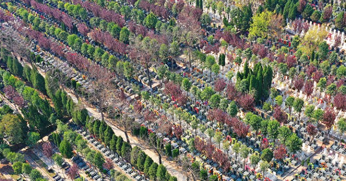 西安藥廠十字到鎬京墓園