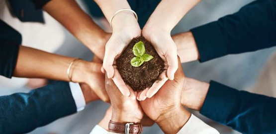 西安壽陽山墓園和高橋墓園