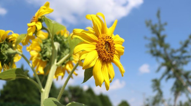 西安公墓一般在哪里購買_西安墓地哪里最好