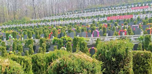 黑色孝布帶多久