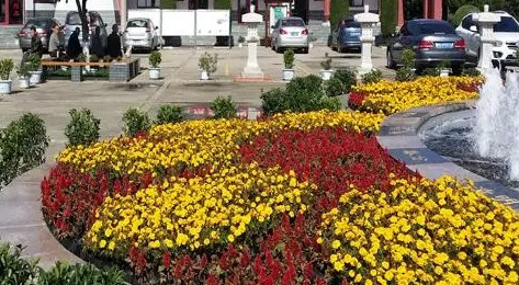 西安墓園哪里有樹葬-西安墓園哪里可以進行樹葬?