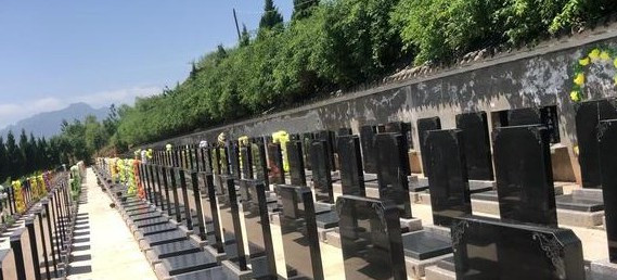 西安九龍山公墓怎么坐公交車