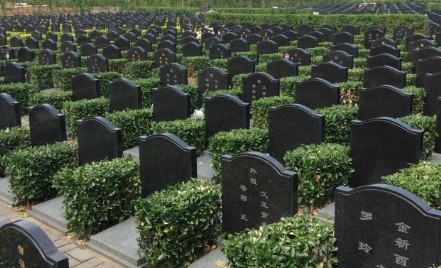 去壽陽山公墓怎么走