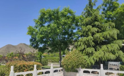 西安墓園在南郊的有那些