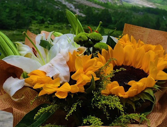 西安墓地鳳棲山,西安鳳棲山墓園的詳細信息與特色