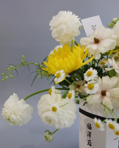 西安墓園樹(shù)葬-西安樹(shù)葬:新時(shí)代環(huán)保葬法的典范