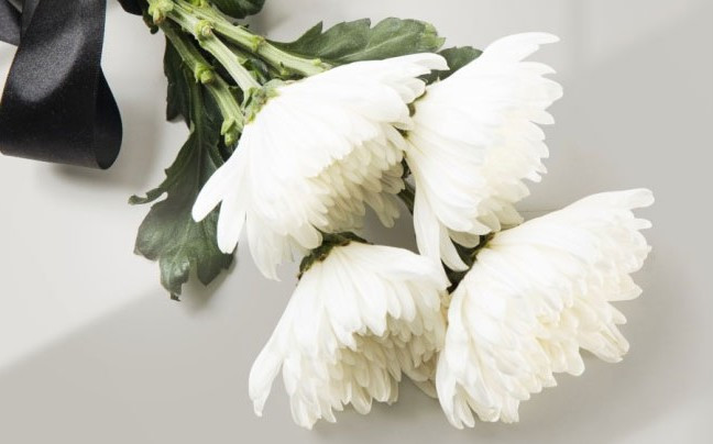 鯨魚溝墓園和高橋墓園是一個墓園嗎