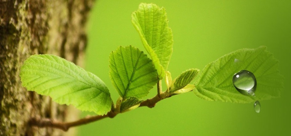 西安壽陽山墓園墓地價格