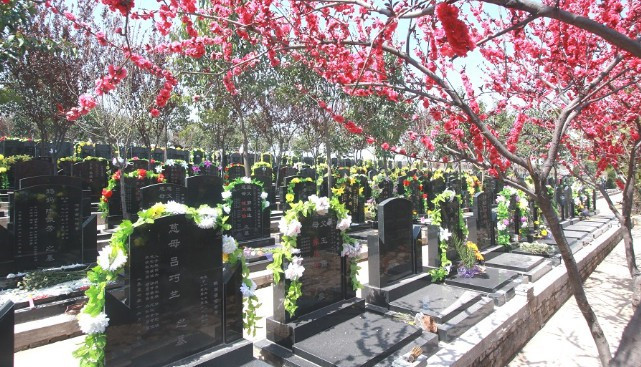 西安高橋墓園聯系電話,西安市高橋骨灰墓園