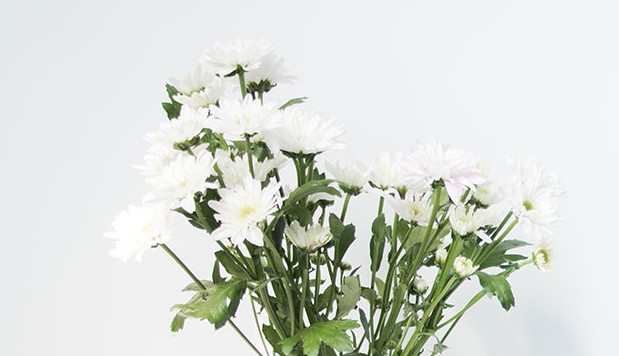 西安鳳凰嶺公墓介紹-電話、地址、公眾號-漢陵墓園