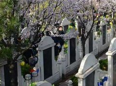 西安周邊的墓園哪里最好？公墓推薦