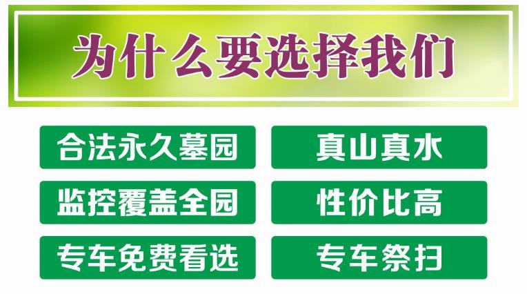 西安鯨魚溝壽陽山圖片,壽陽山公墓