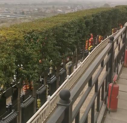 西安霸陵新區寶玉園,視野開闊,綠樹成蔭!