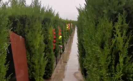 西安霸陵新區特色園區 軍魂園