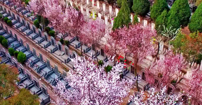 西安鳳棲山墓園北區可乘坐、路公交車抵達