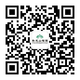 臥龍山福園公眾號(hào)-預(yù)約、祭奠、代客祭掃