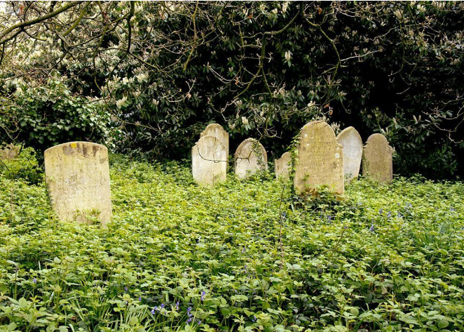 教你了解墓地價格構成